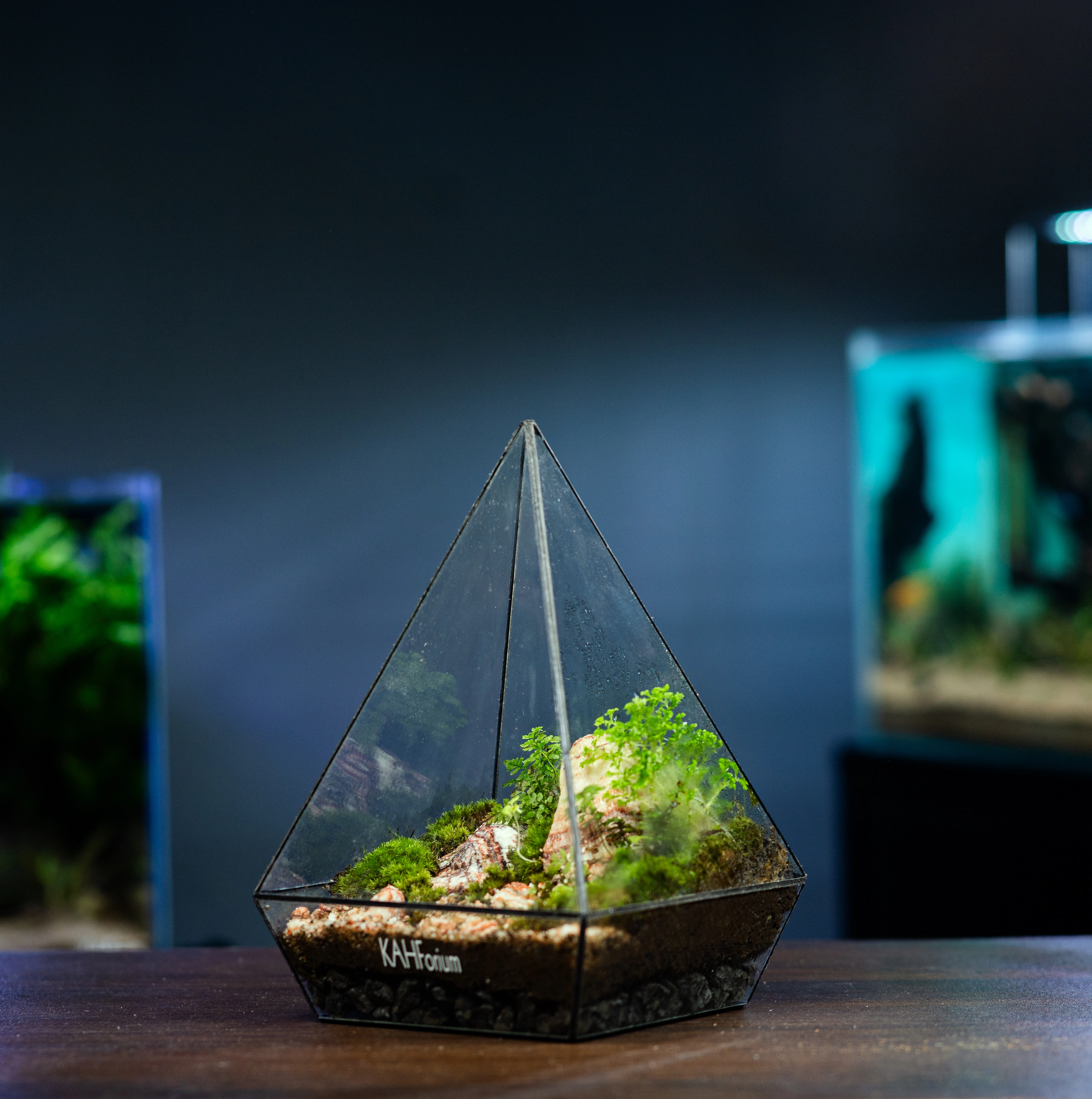 The Zen Pyramid