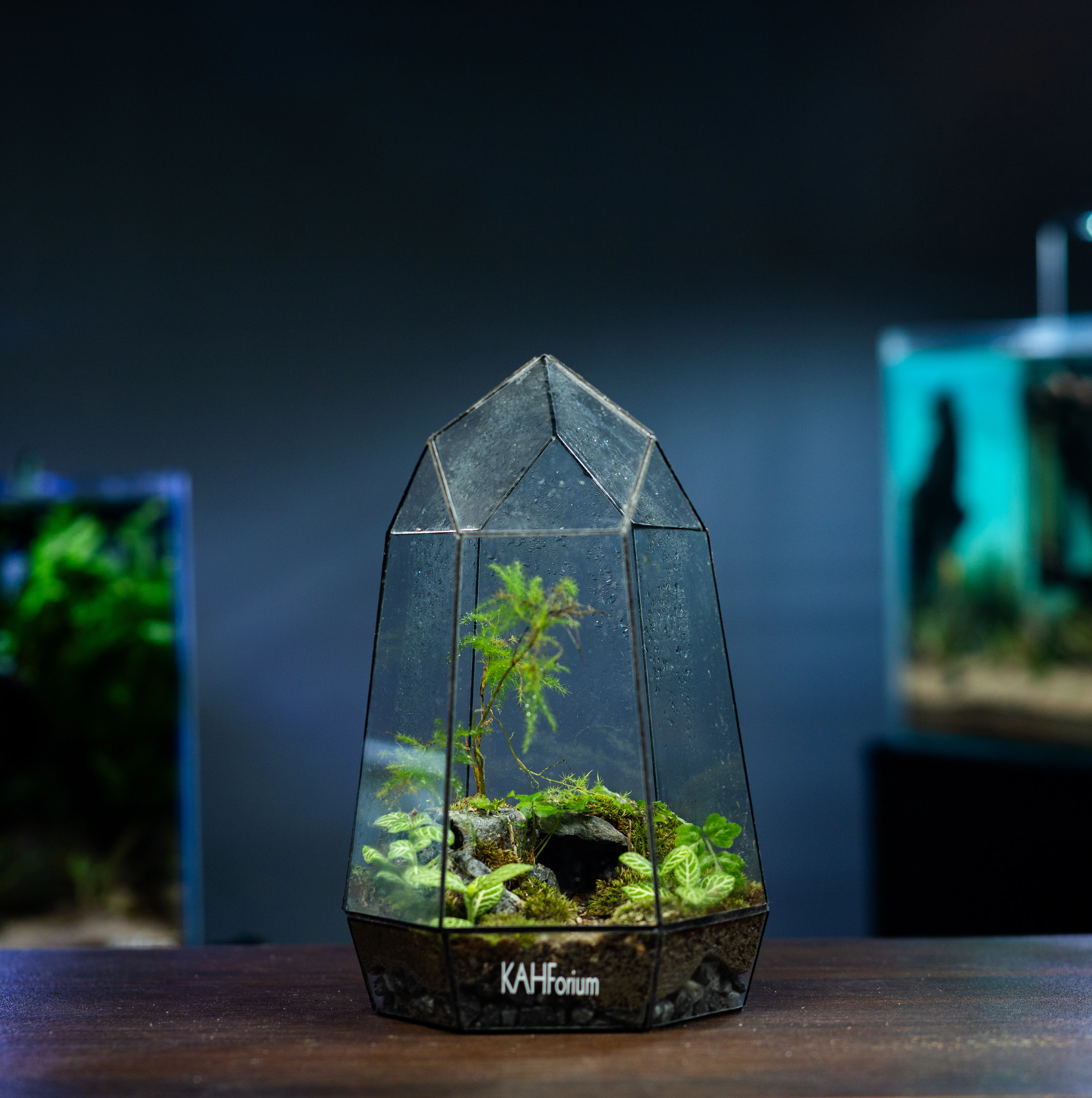 The Cavern Prism