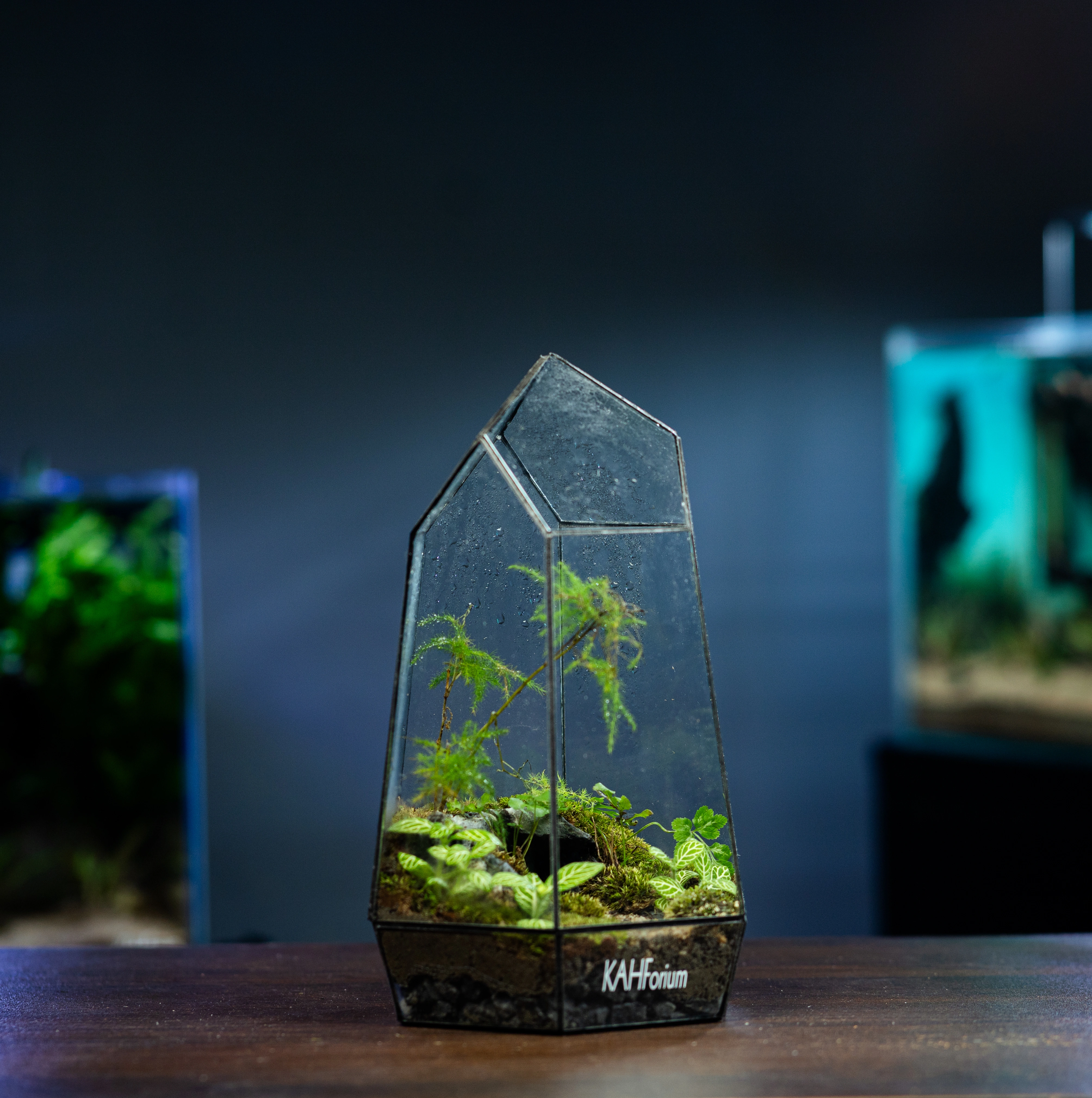 The Cavern Prism