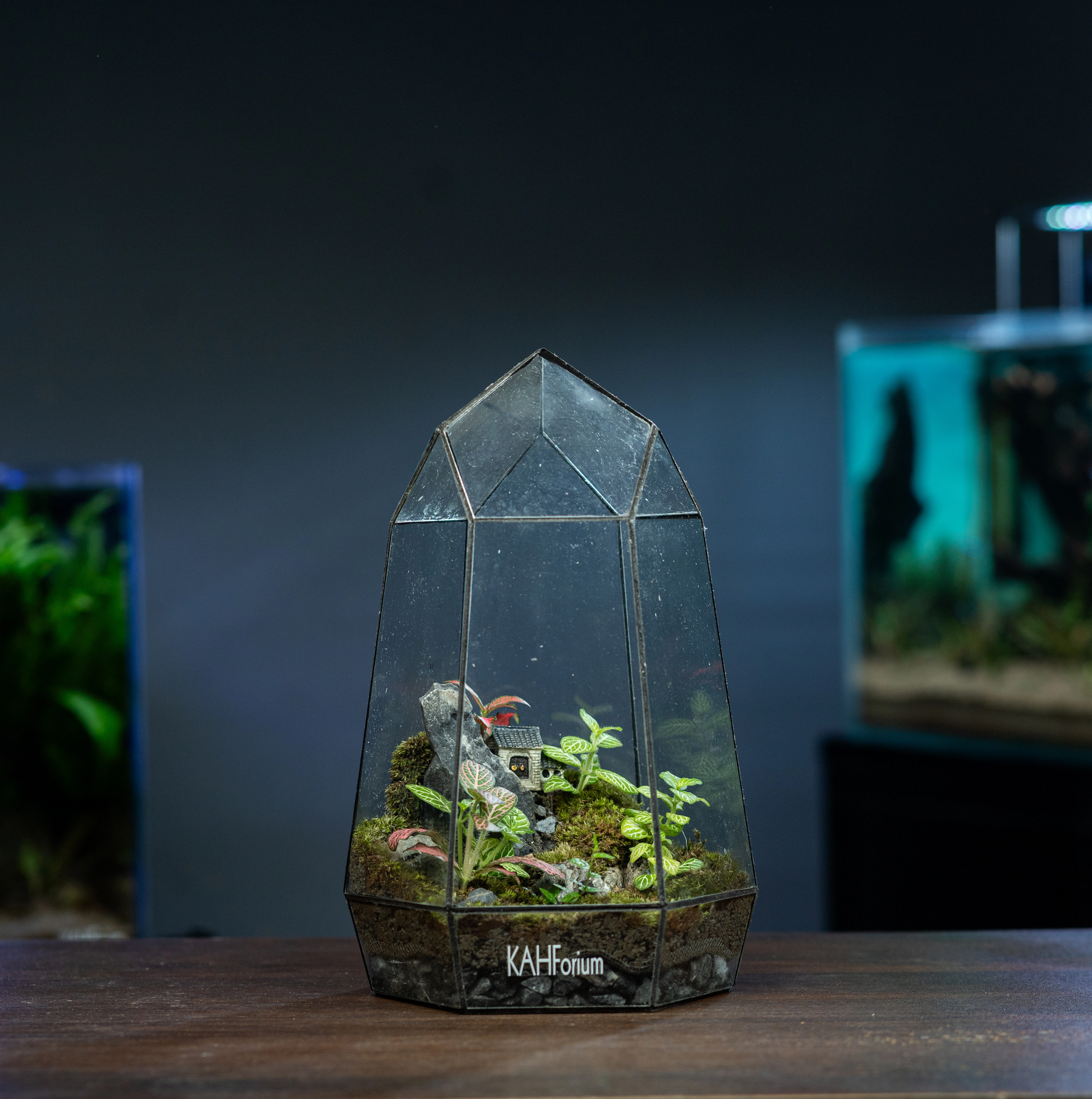 The Crystal Cottage