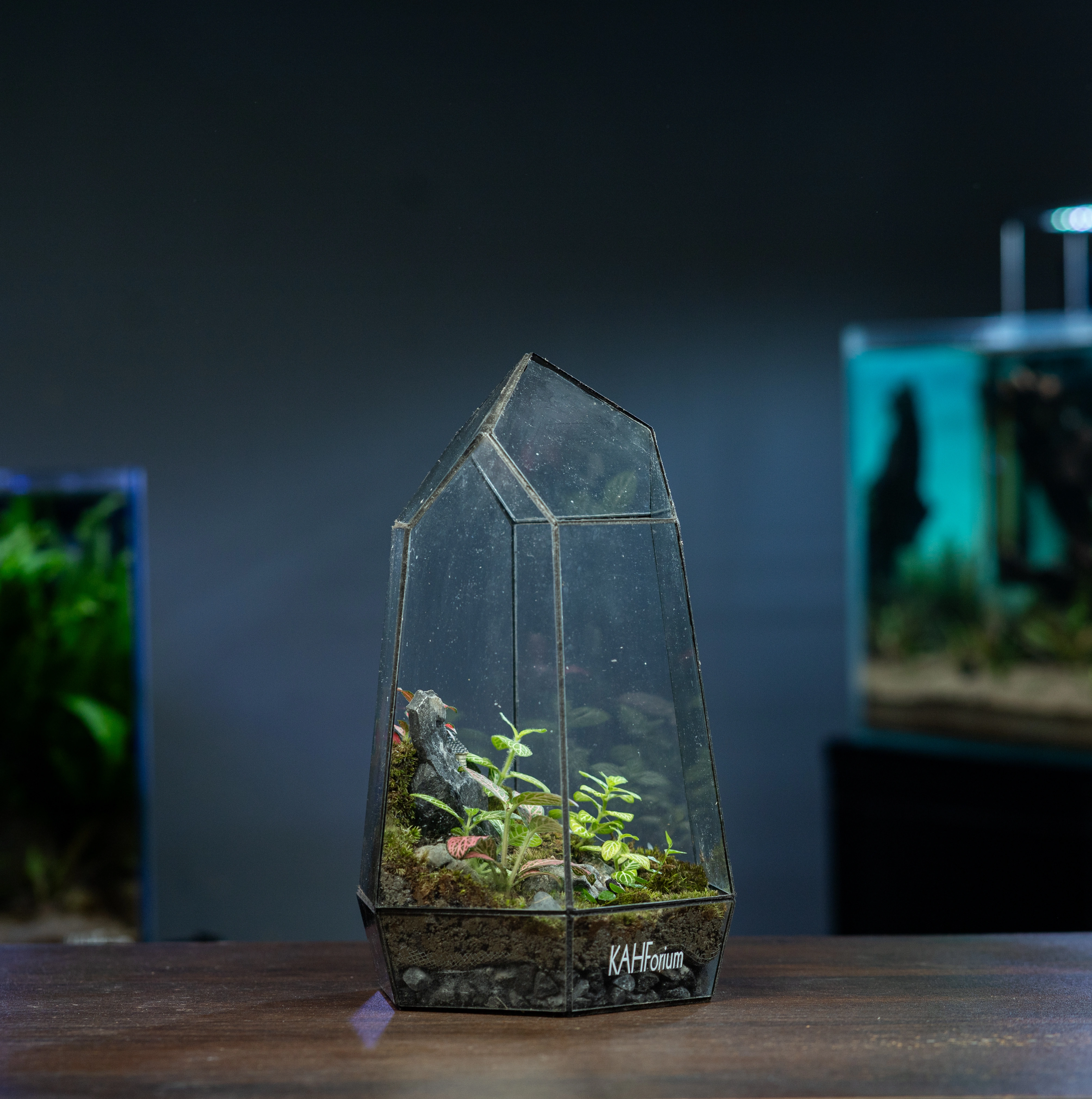 The Crystal Cottage