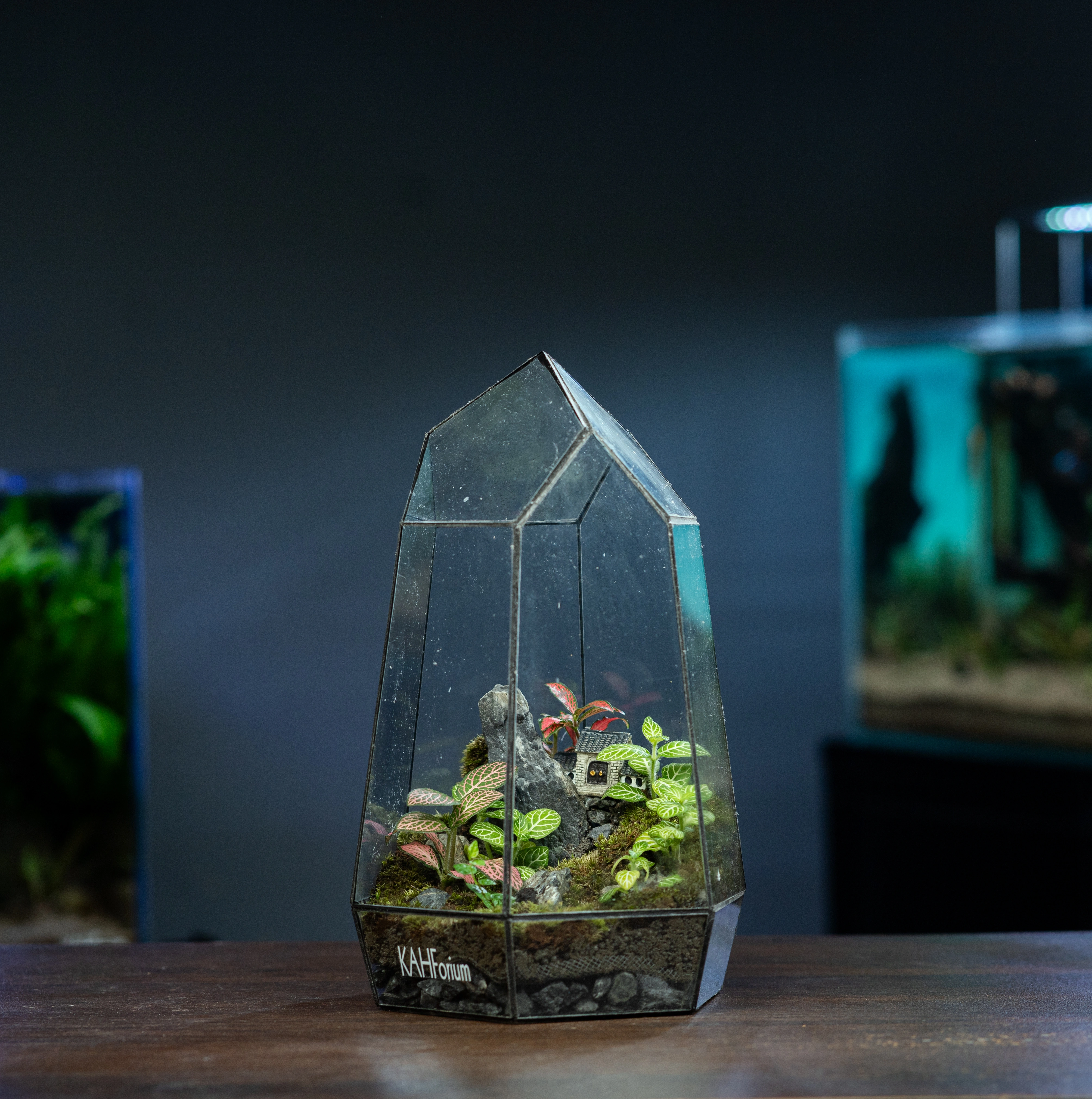 The Crystal Cottage