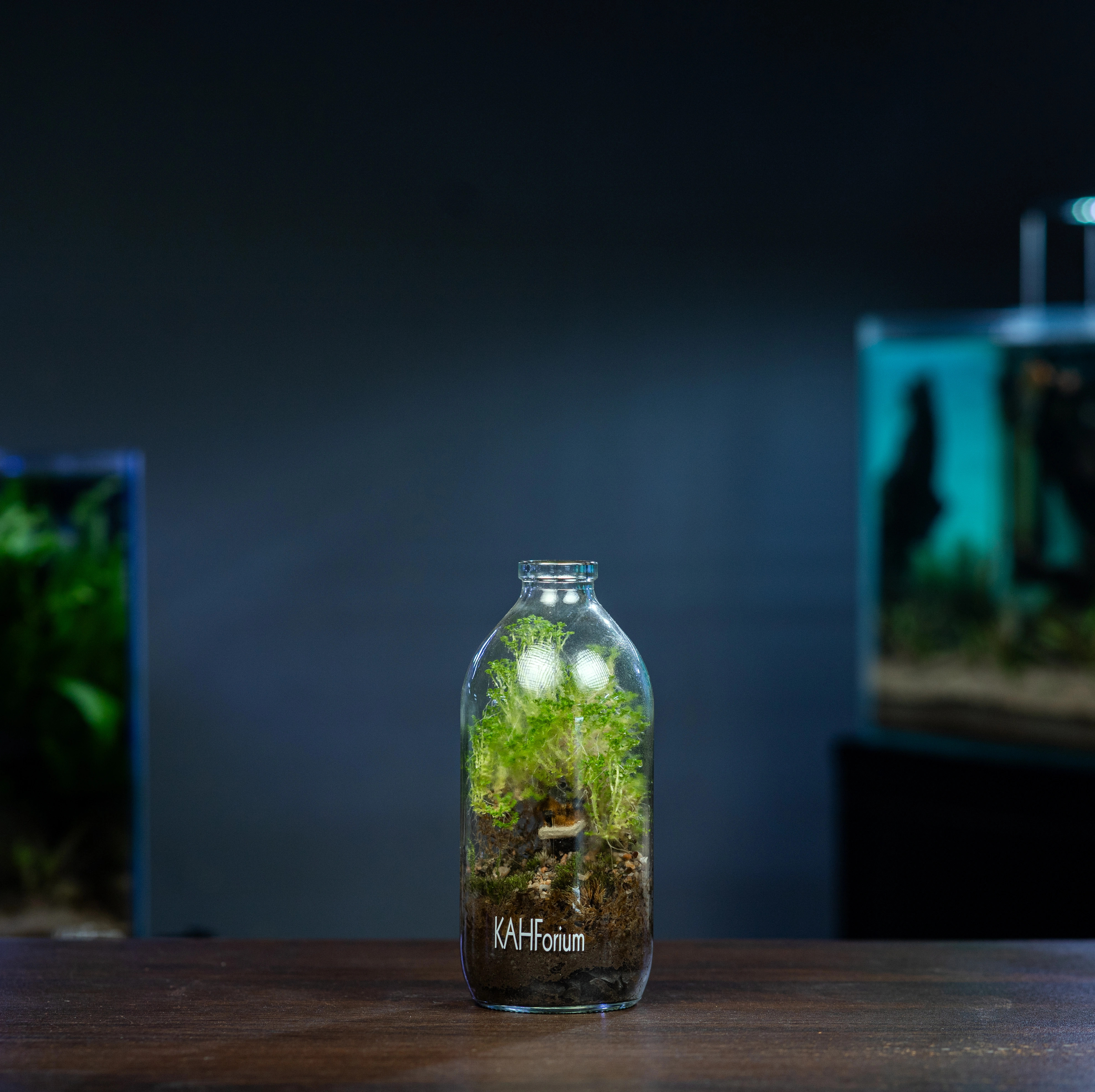 The Forest Flagon