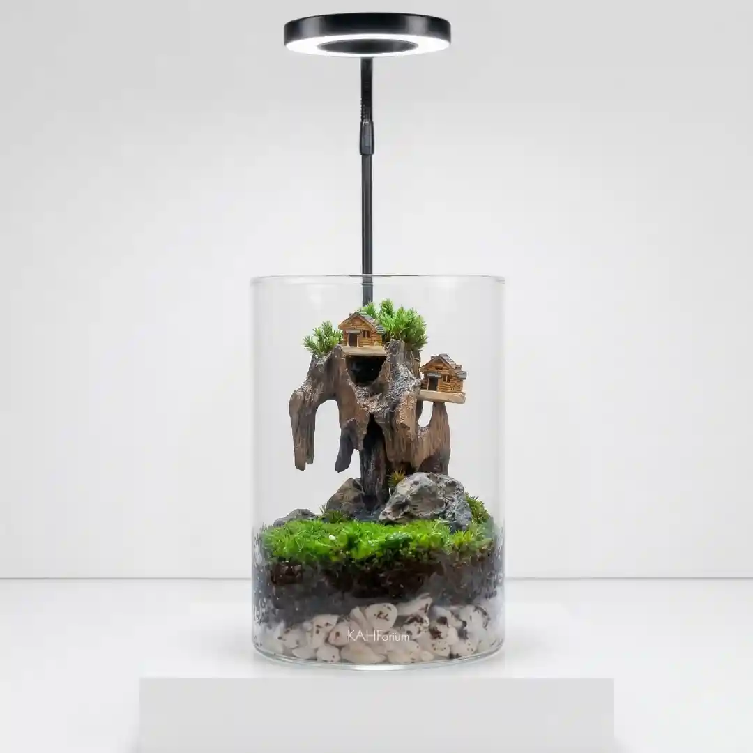 The Summit Sanctuary