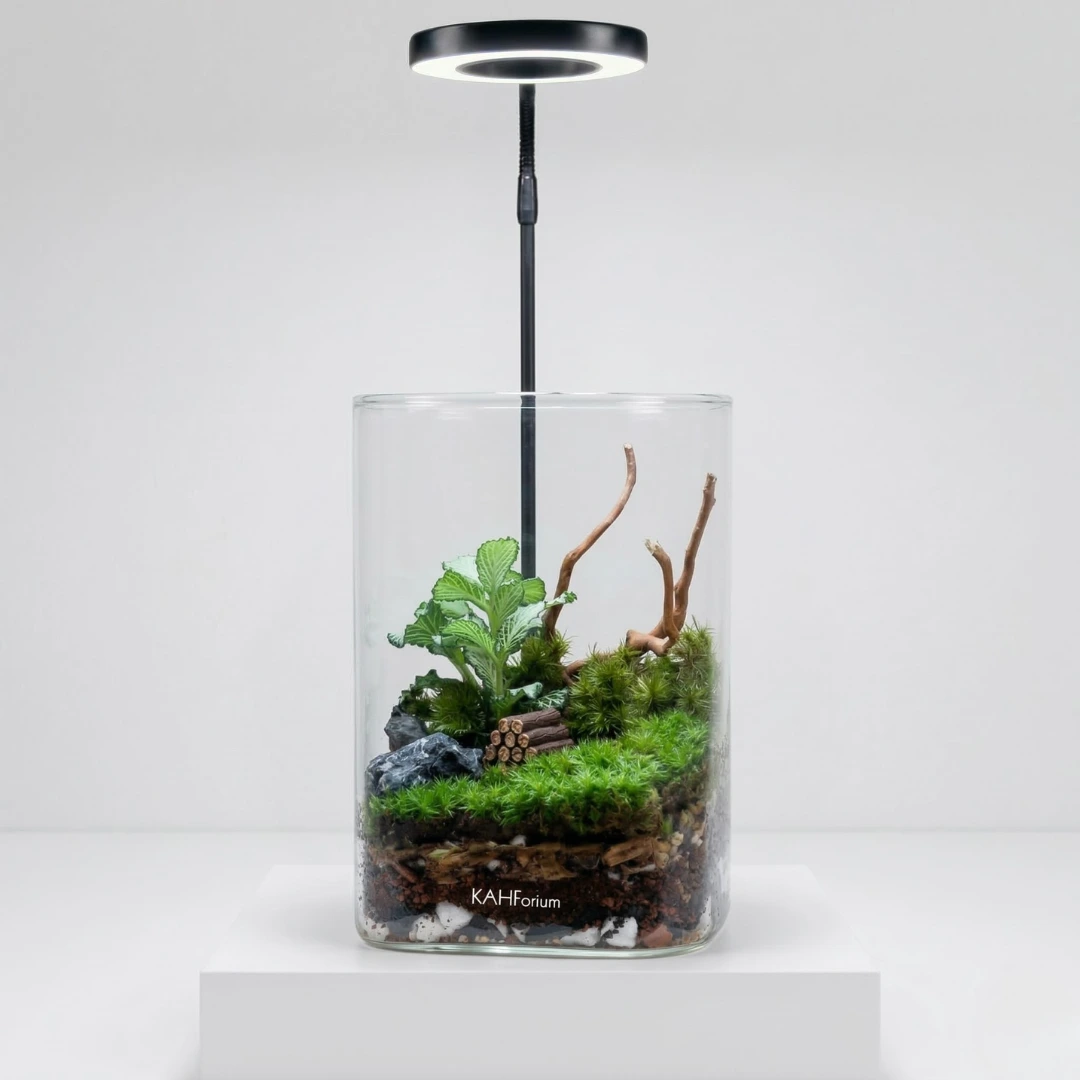 The Whispering Leaves